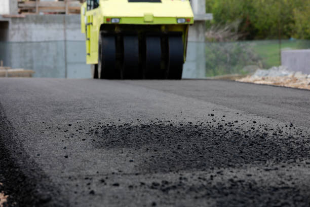 Best Driveway Pavers Near Me  in Coventry Lake, CT