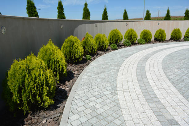 Best Affordable Driveway Pavers  in Coventry Lake, CT